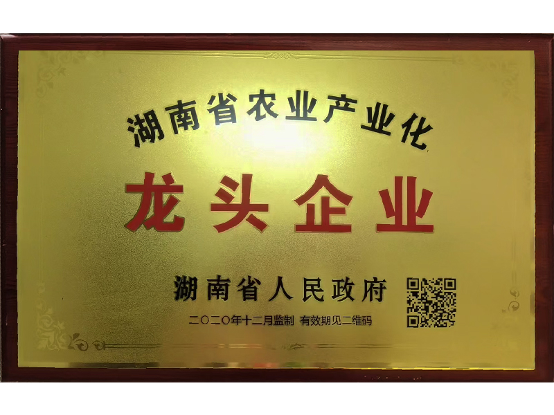 岳陽市漁之源食品有限公司,岳港漁都,洞庭魚港,散稱系列,田螺系列,臭豆腐加工，香豆腐加工，烤脖加工，魚仔,鴨排加工、雞丁加工代加工